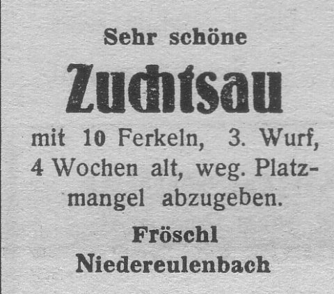 Das Bild 
kann leider nicht angezeigt werden.