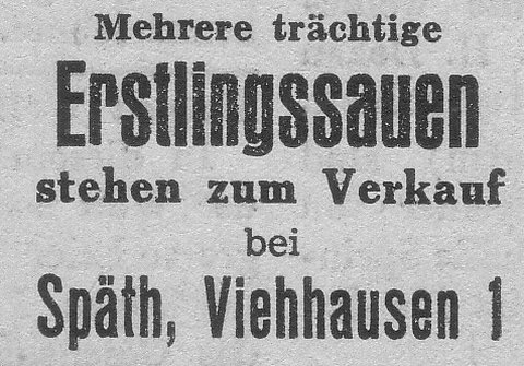 Das Bild 
kann leider nicht angezeigt werden.