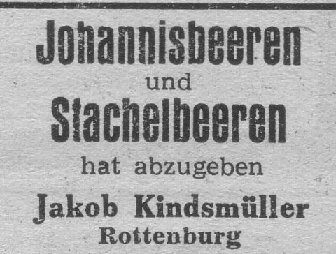 Das Bild 
kann leider nicht angezeigt werden.