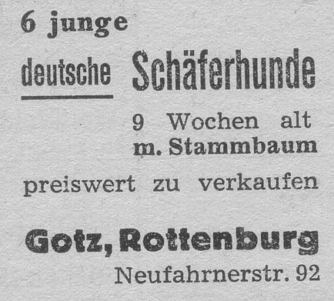 Das Bild 
kann leider nicht angezeigt werden.