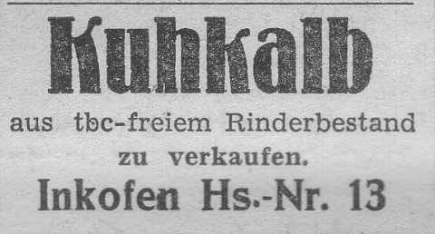 Das Bild 
kann leider nicht angezeigt werden.