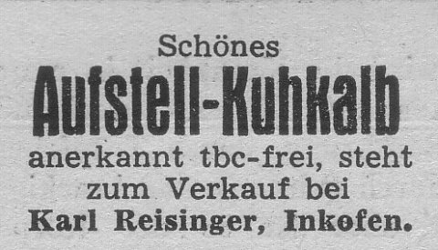 Das Bild 
kann leider nicht angezeigt werden.