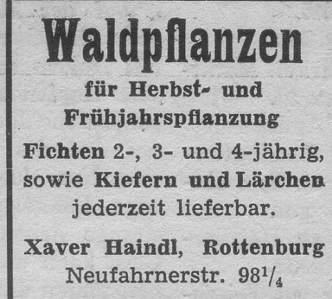 Das Bild 
kann leider nicht angezeigt werden.