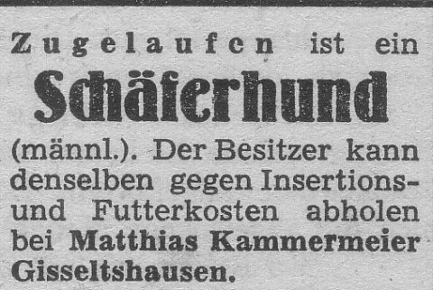 Das Bild 
kann leider nicht angezeigt werden.