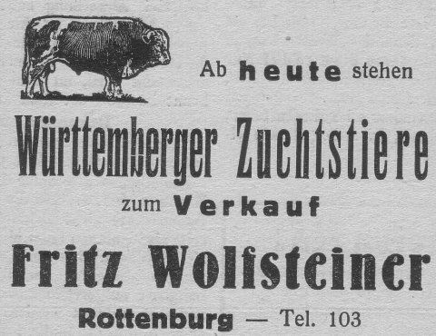 Das Bild 
kann leider nicht angezeigt werden.