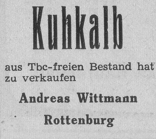 Das Bild 
kann leider nicht angezeigt werden.