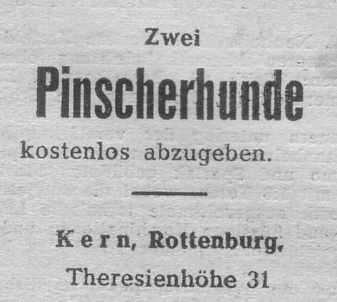 Das Bild 
kann leider nicht angezeigt werden.