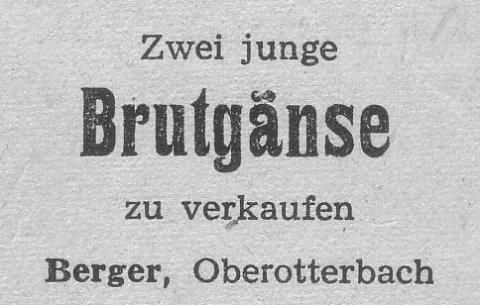 Das Bild 
kann leider nicht angezeigt werden.