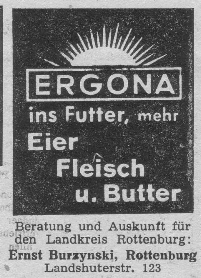 Das Bild 
kann leider nicht angezeigt werden.