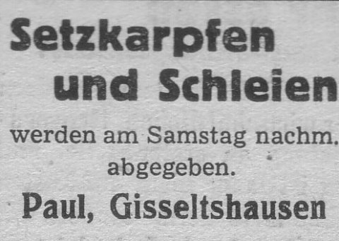 Das Bild 
kann leider nicht angezeigt werden.