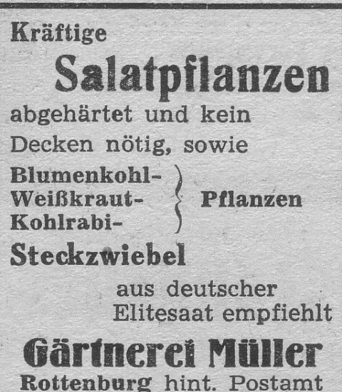 Das Bild 
kann leider nicht angezeigt werden.