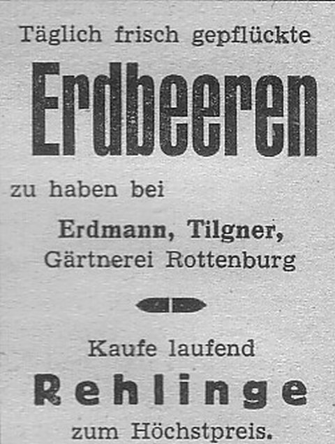 Das Bild 
kann leider nicht angezeigt werden.