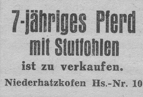 Das Bild 
kann leider nicht angezeigt werden.