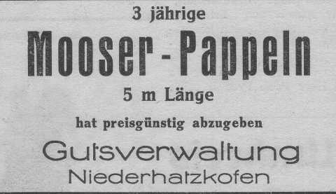 Das Bild 
kann leider nicht angezeigt werden.