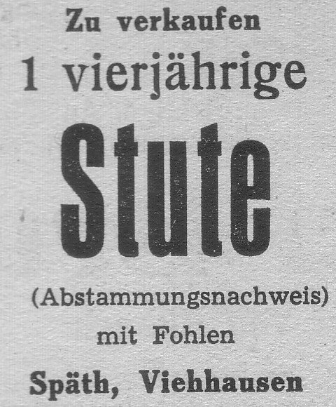 Das Bild 
kann leider nicht angezeigt werden.