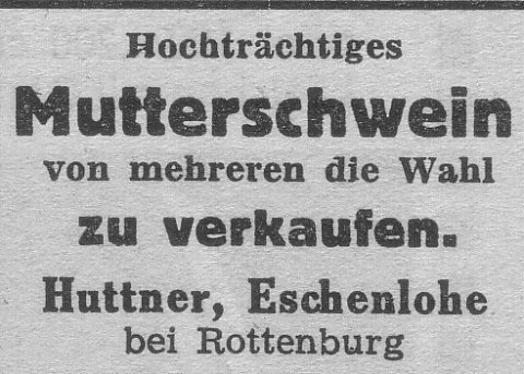 Das Bild 
kann leider nicht angezeigt werden.