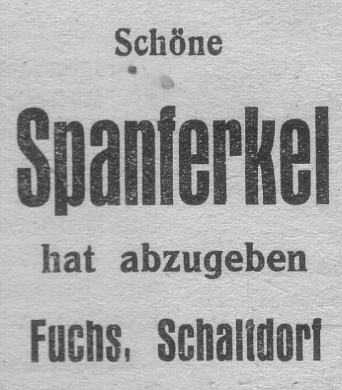 Das Bild 
kann leider nicht angezeigt werden.