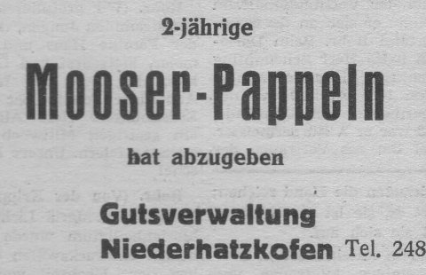 Das Bild 
kann leider nicht angezeigt werden.