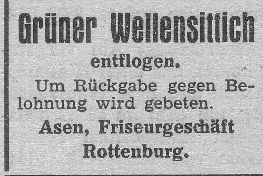 Das Bild 
kann leider nicht angezeigt werden.
