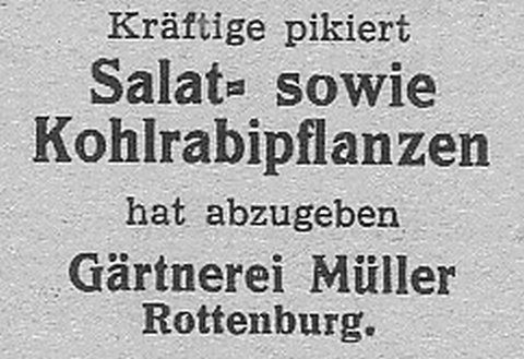 Das Bild 
kann leider nicht angezeigt werden.