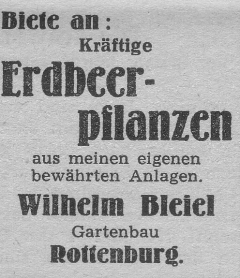 Das Bild 
kann leider nicht angezeigt werden.