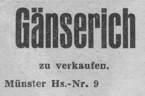 Das Bild 
kann leider nicht angezeigt werden.