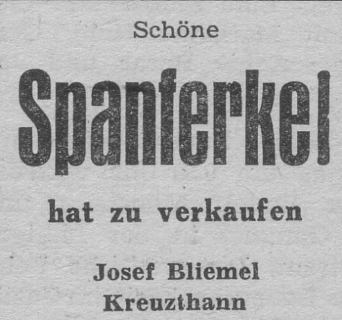 Das Bild 
kann leider nicht angezeigt werden.