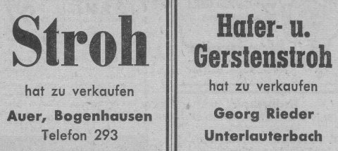 Das Bild 
kann leider nicht angezeigt werden.