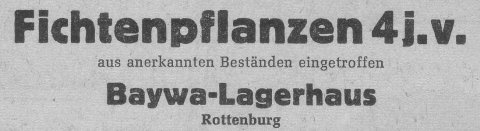 Das Bild 
kann leider nicht angezeigt werden.