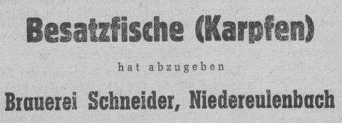 Das Bild 
kann leider nicht angezeigt werden.