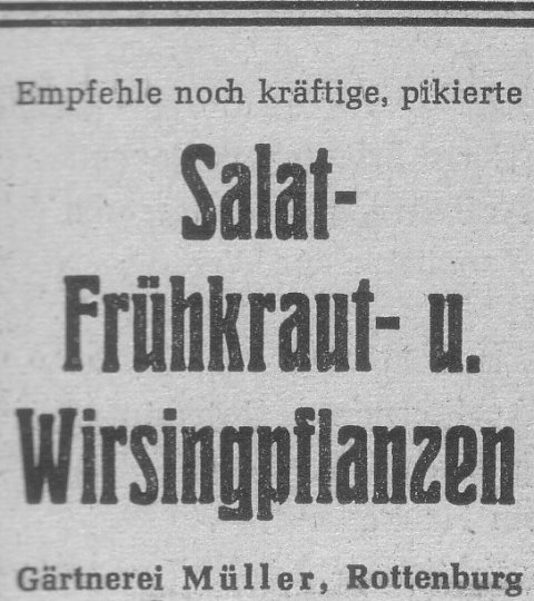 Das Bild 
kann leider nicht angezeigt werden.