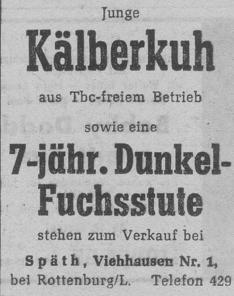 Das Bild 
kann leider nicht angezeigt werden.
