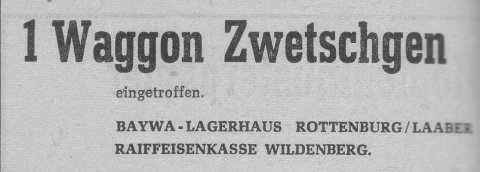 Das Bild 
kann leider nicht angezeigt werden.