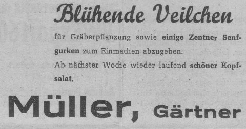 Das Bild 
kann leider nicht angezeigt werden.