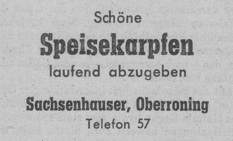 Das Bild 
kann leider nicht angezeigt werden.