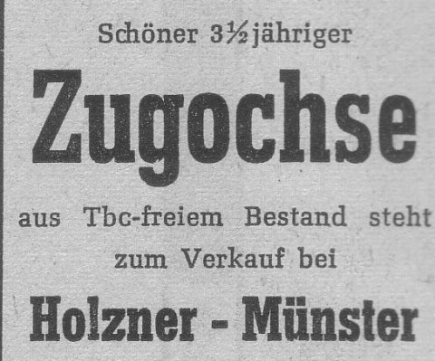 Das Bild 
kann leider nicht angezeigt werden.