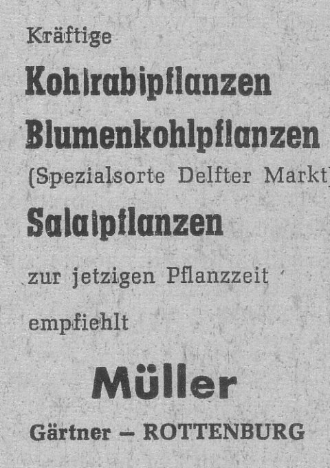 Das Bild 
kann leider nicht angezeigt werden.