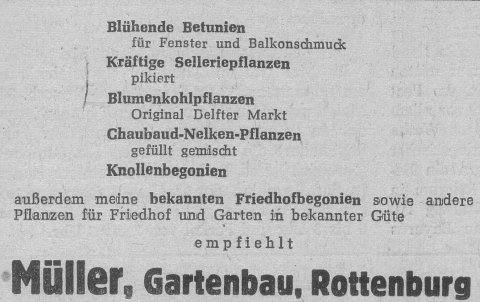 Das Bild 
kann leider nicht angezeigt werden.