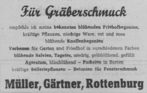 Das Bild 
kann leider nicht angezeigt werden.