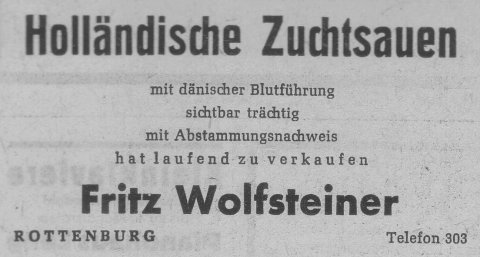 Das Bild 
kann leider nicht angezeigt werden.