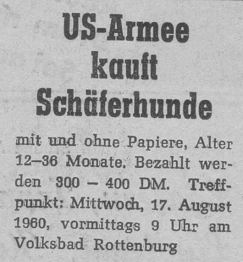 Das Bild 
kann leider nicht angezeigt werden.