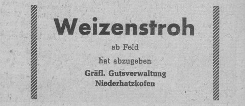 Das Bild 
kann leider nicht angezeigt werden.