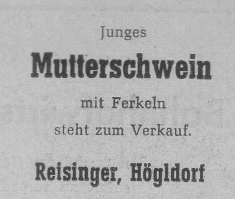 Das Bild 
kann leider nicht angezeigt werden.
