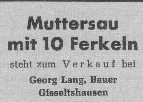 Das Bild 
kann leider nicht angezeigt werden.