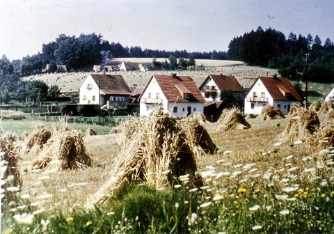 Das Bild kann leider nicht angezeigt werden.