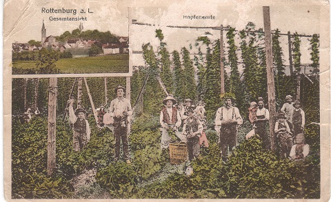 Das Bild kann leider nicht angezeigt werden.
