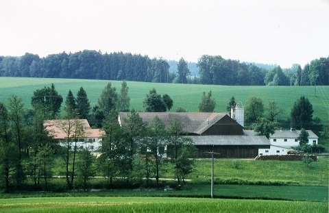 Das Bild kann leider nicht angezeigt werden.