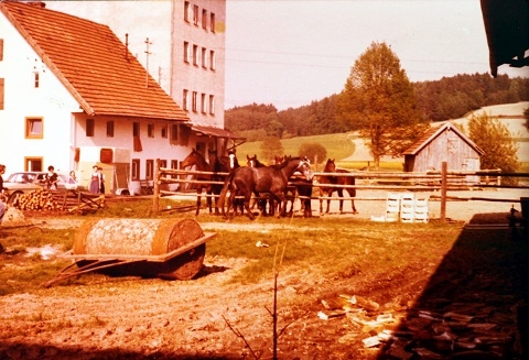 Das Bild kann leider nicht angezeigt werden.